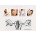 Mofan Silk herbal Menstrual Cramp Relief thermal Wraps
